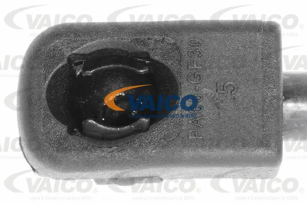 Gas Spring, boot/cargo area