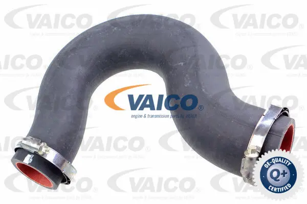 Charge Air Hose