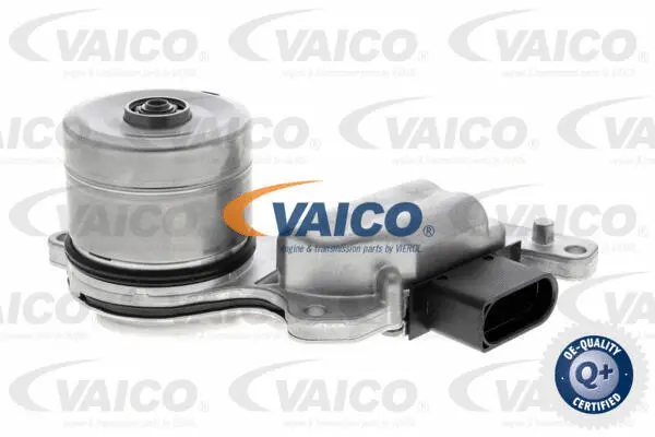 Oil Pump, automatic transmission