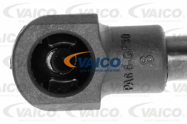 Gas Spring, boot/cargo area