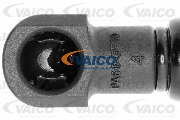 Gas Spring, boot/cargo area