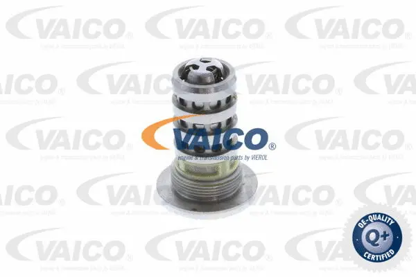 Control Valve, camshaft adjustment
