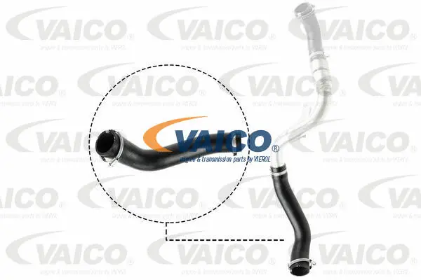 Charge Air Hose