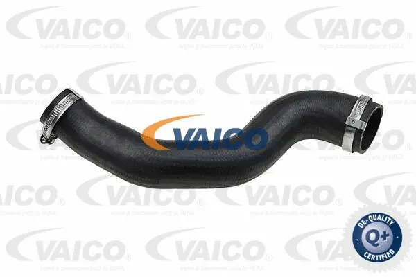 Charge Air Hose
