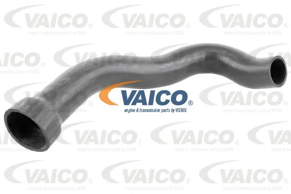 Charge Air Hose