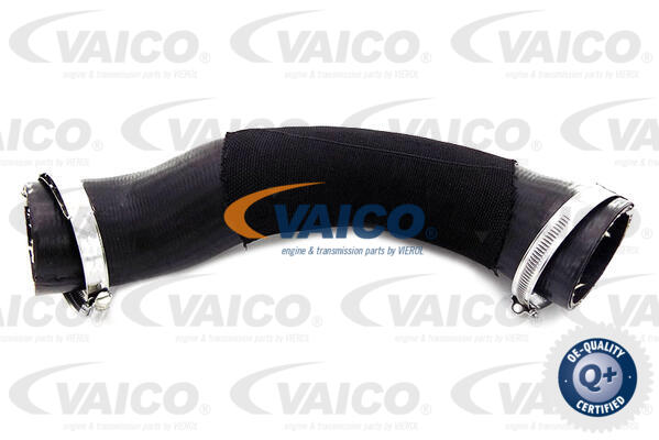 Charge Air Hose