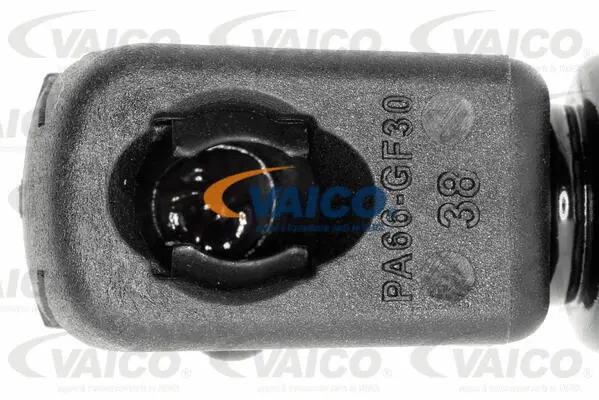 Gas Spring, boot/cargo area