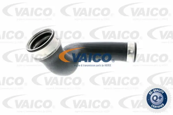 Charge Air Hose