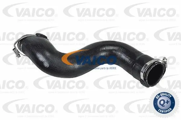 Charge Air Hose
