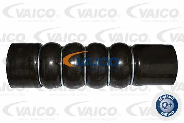 Charge Air Hose