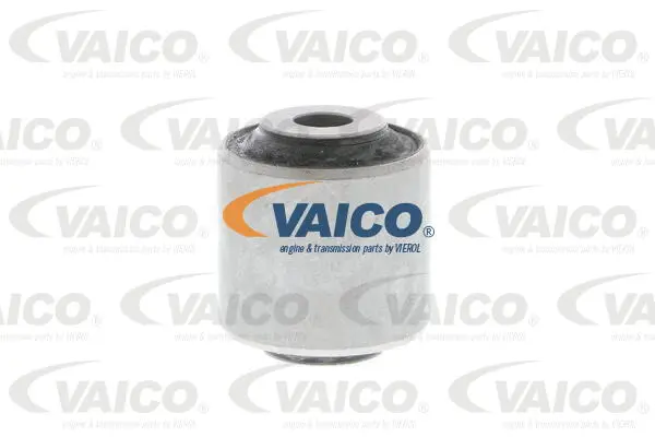 Mounting, control/trailing arm