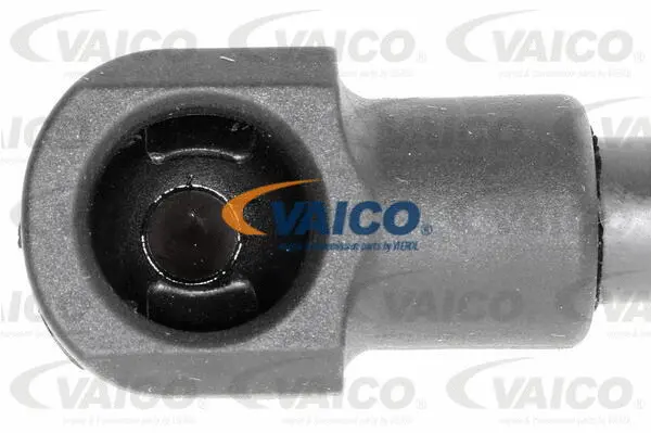 Gas Spring, bonnet