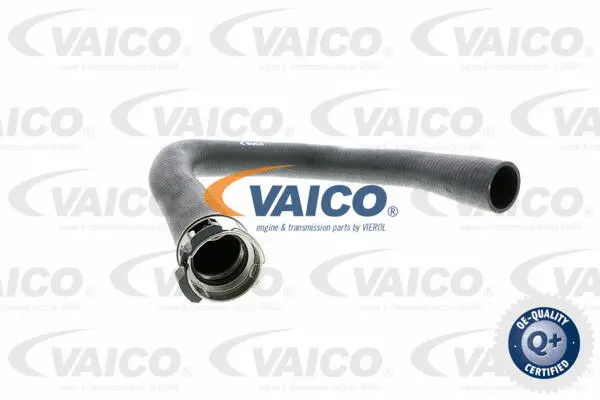 Charge Air Hose