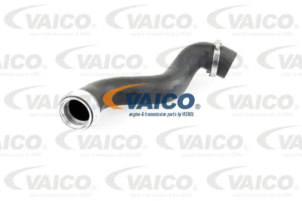 Charge Air Hose
