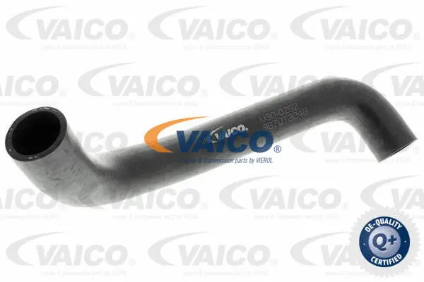 Radiator Hose