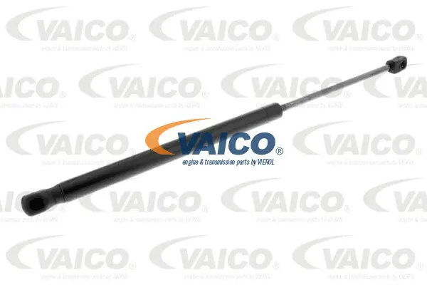 Gas Spring, boot/cargo area