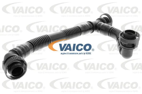 Hose, crankcase ventilation