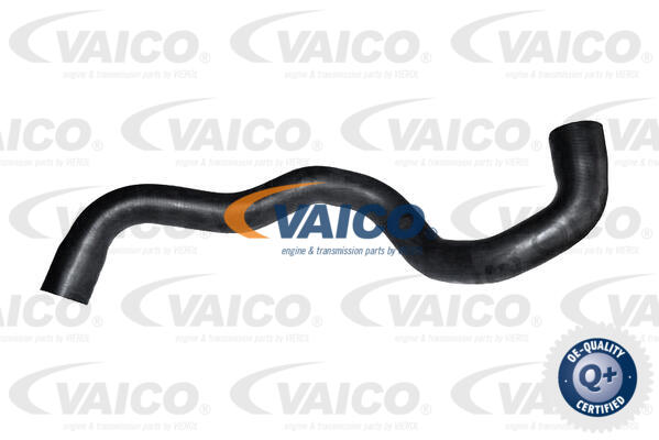 Radiator Hose