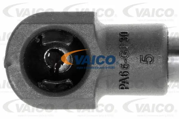 Gas Spring, boot/cargo area