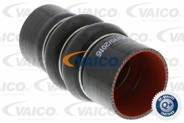 Charge Air Hose
