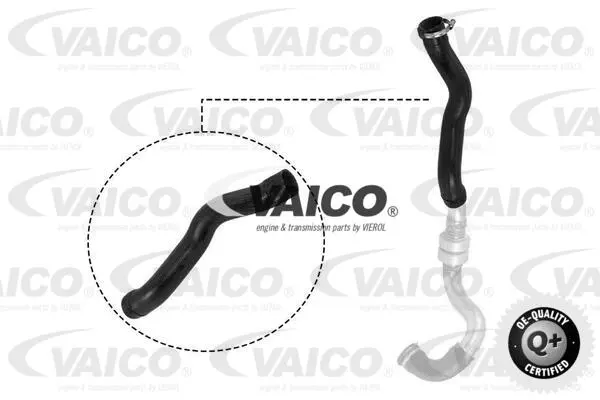Charge Air Hose