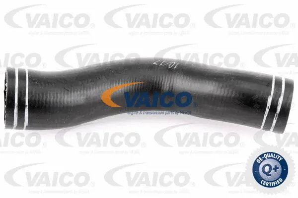 Charge Air Hose