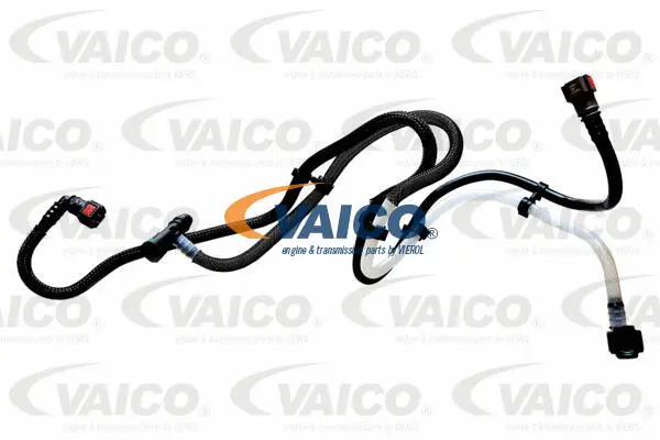 Fuel Line