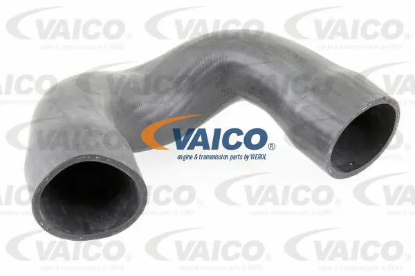 Charge Air Hose
