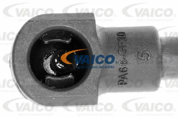 Gas Spring, boot/cargo area