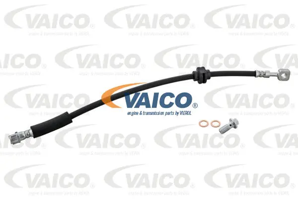 Brake Hose