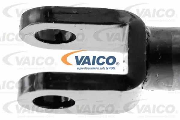 Gas Spring, boot/cargo area