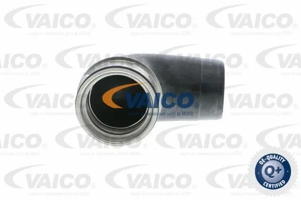 Charge Air Hose