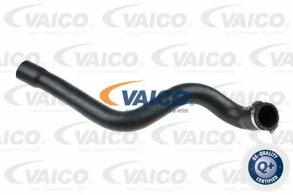 Charge Air Hose