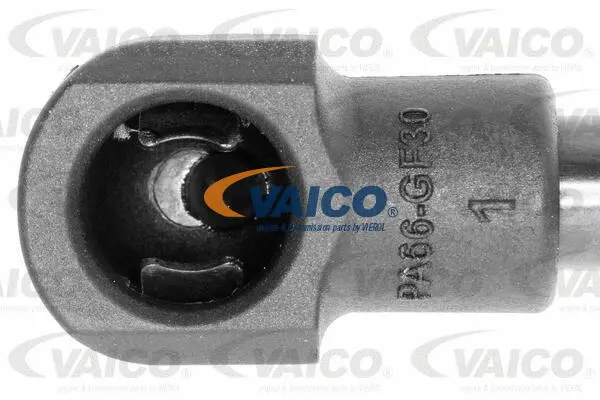 Gas Spring, boot/cargo area