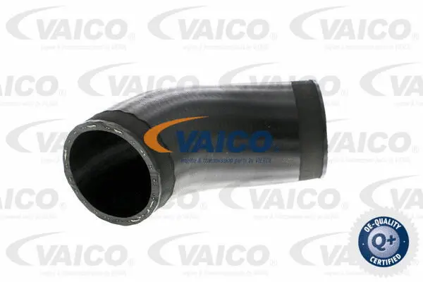 Charge Air Hose