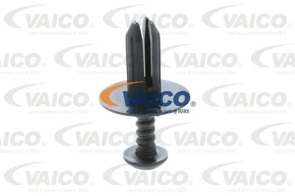 Clip, trim/protection strip