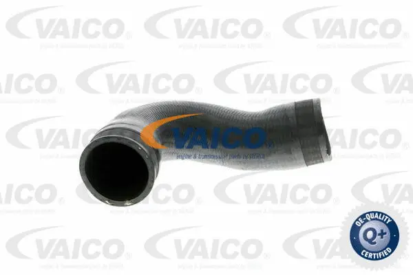 Charge Air Hose