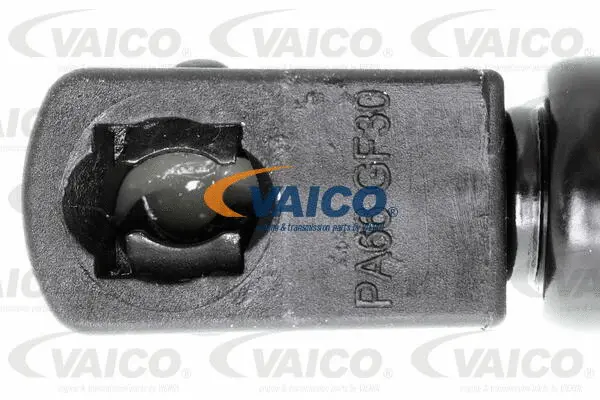 Gas Spring, boot/cargo area