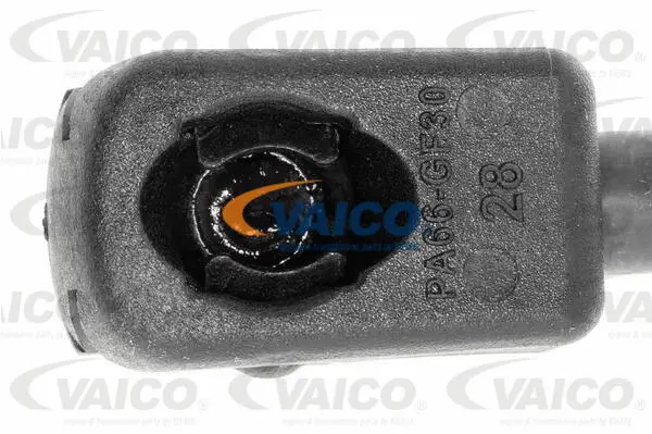 Gas Spring, boot/cargo area