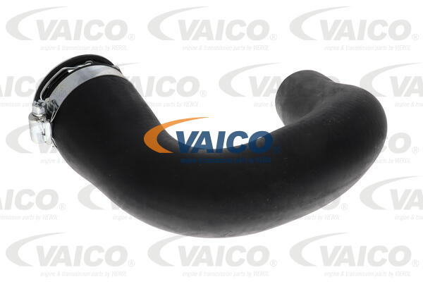 Charge Air Hose