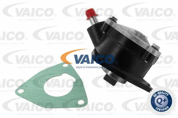 Vacuum Pump, braking system