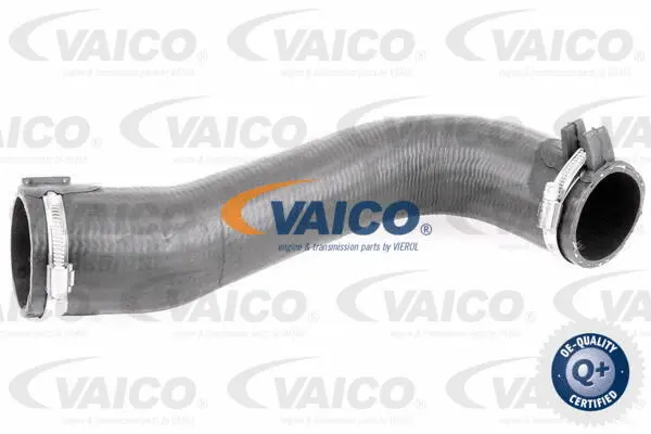 Charge Air Hose