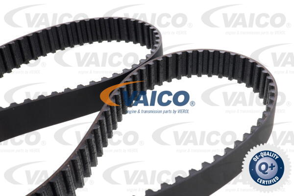 Timing Belt