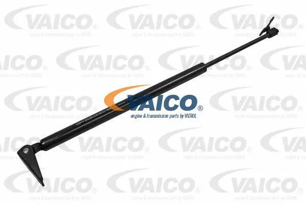 Gas Spring, boot/cargo area