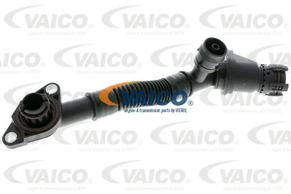 Hose, crankcase ventilation
