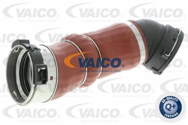 Charge Air Hose