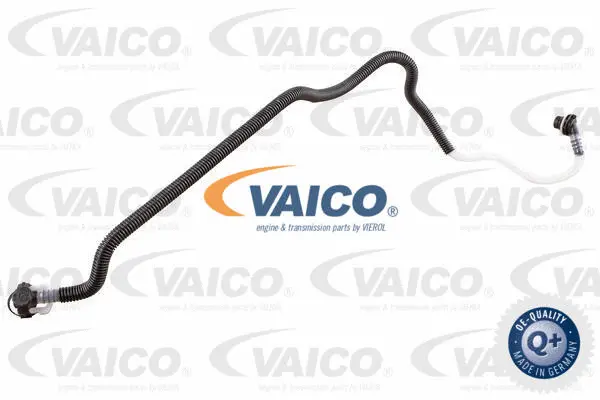 Fuel Line