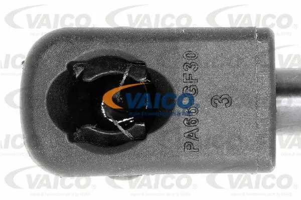 Gas Spring, boot/cargo area