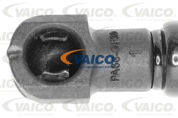 Gas Spring, bonnet