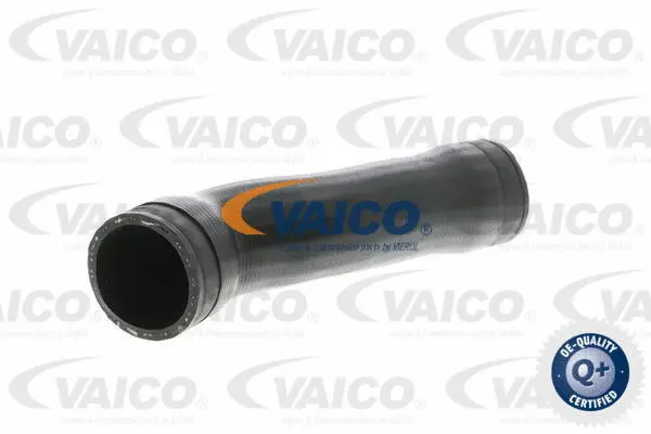 Charge Air Hose